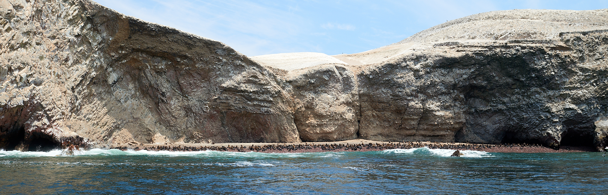 20200304 214 [페루] 바예스타섬